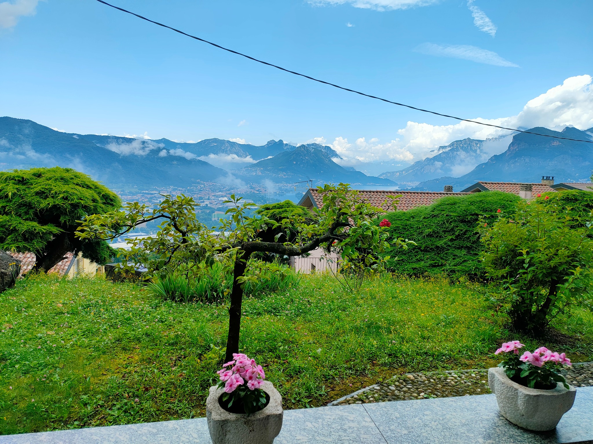 Garden and panorama