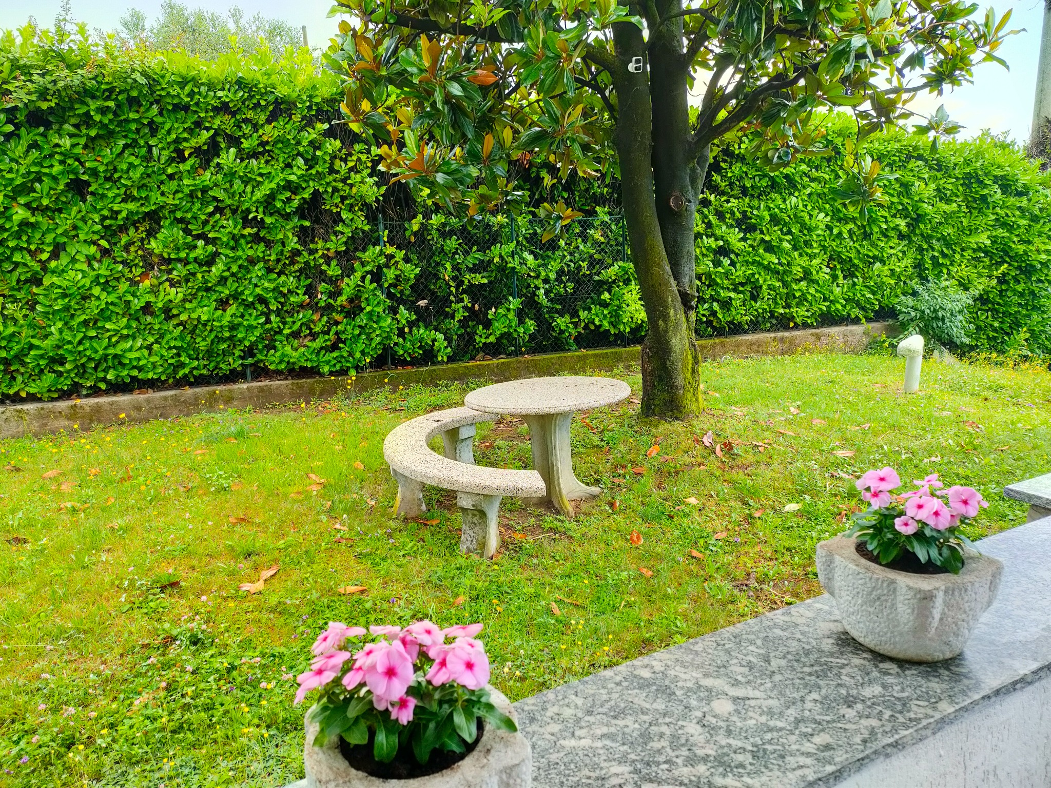 Actual garden seating area